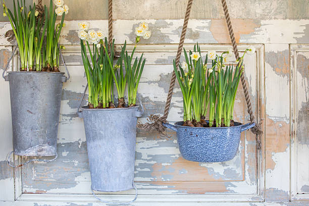 Potager suspendu – Un petit jardin cultivé dans un espace réduit