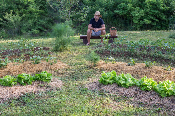 potager en permaculture débutant jardin vert naturel