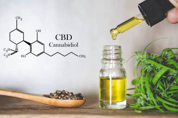 propriétés CBD corps humain consommation chanvre huile