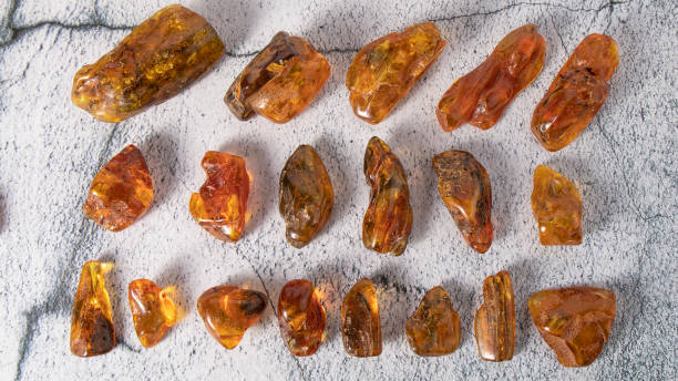 Quels types d’ambre existe-t-il à travers le monde ?