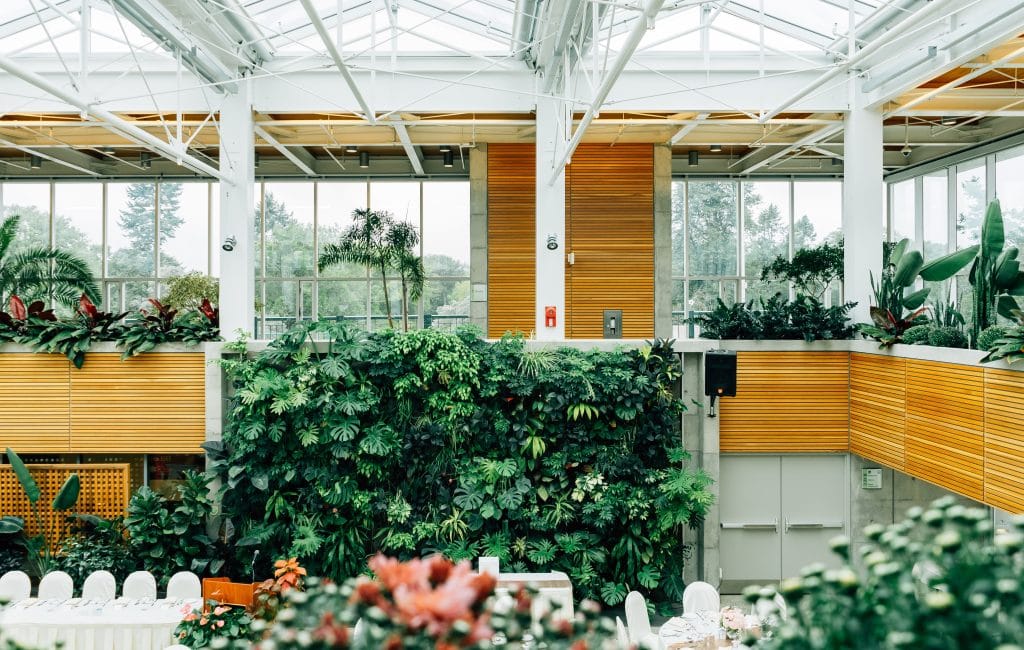 Espace végétal dans un open space pour booster le moral des employés