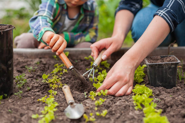 Comment jardiner pas cher ? 16 astuces pratiques