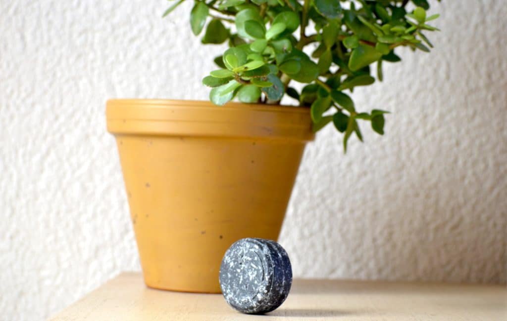 Morceau de shampoing solide gris et blanc posé devant une plante verte avec un pot jaune